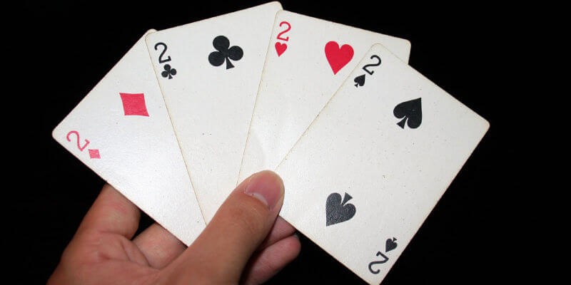 cách dụ heo đỏ để chặt